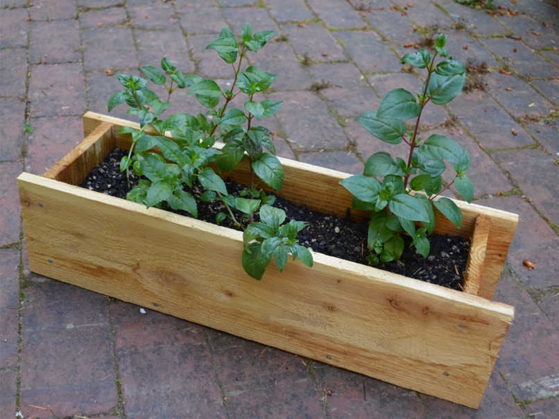 Click for larger image