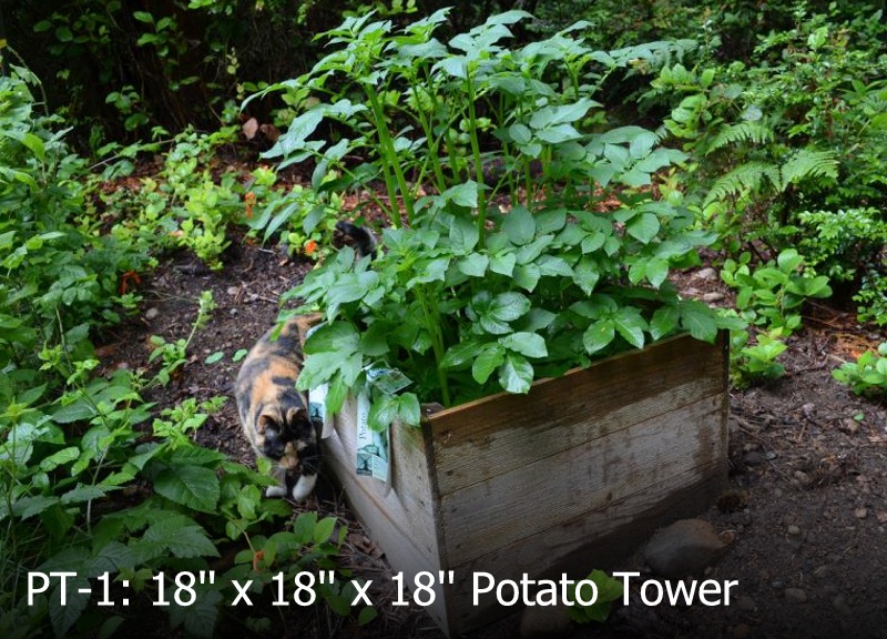 Click for larger image