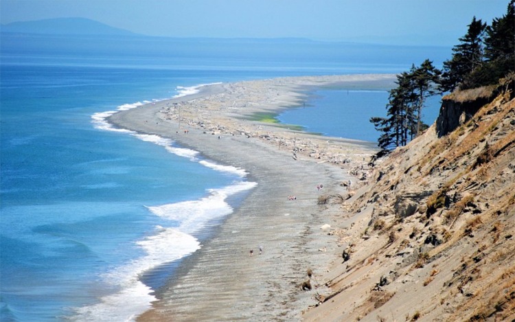 Click for larger image